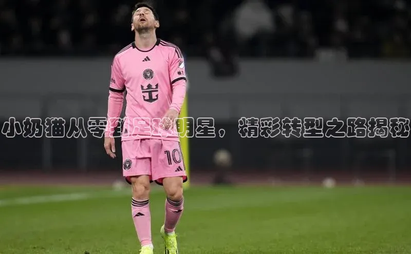 ballbet贝博app下载艾弗森百度安全社区小奶猫从零到足球明星，精彩转型之路揭秘