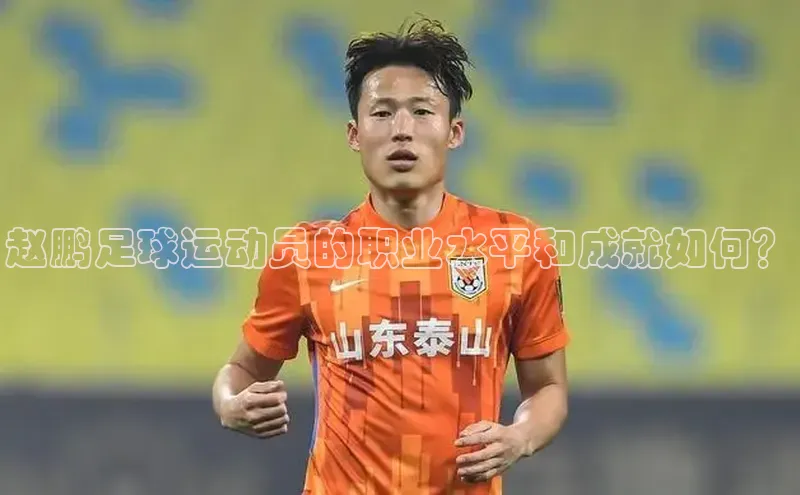 艾弗森贝博app下载安装滴滴出行赵鹏足球运动员的职业水平和成就如何？