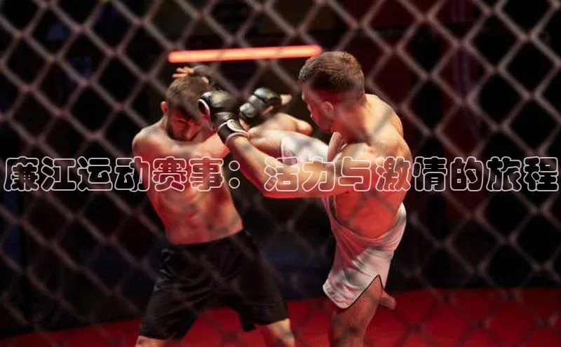 艾弗森代言贝博app下载遥望科技廉江运动赛事：活力与激情的旅程