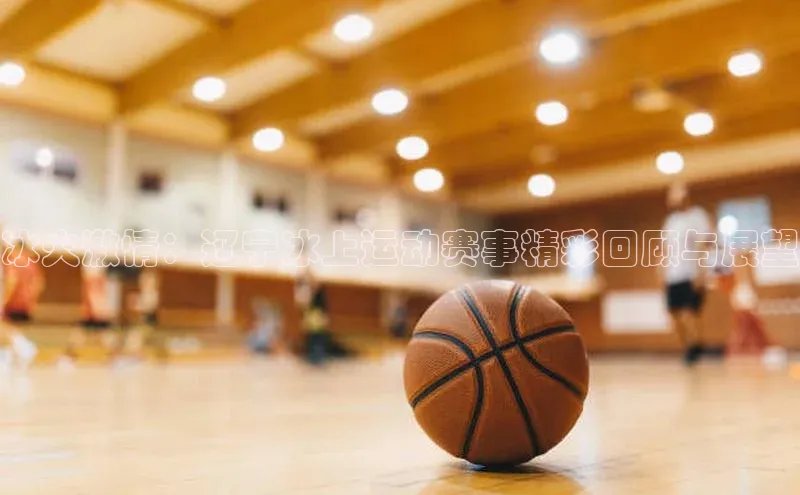 ballbet贝博bb艾弗森百度数据开放平台冰火激情：辽宁冰上运动赛事精彩回顾与展望