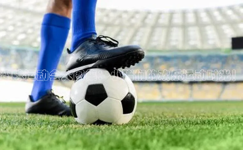 贝博官方入口百度健康趣味运动会大图集：小猪们的欢乐运动时光！