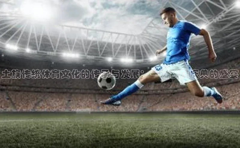 土族传统体育文化的传承与发展：一场民族庆典的盛宴