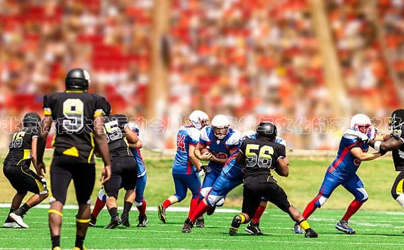 北京体育大学运动会风采：竞技与文化的交融之路