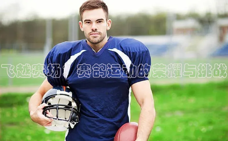 飞越赛场：赛鸽运动的荣耀与挑战