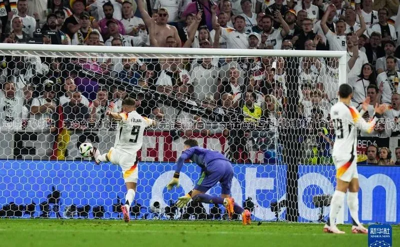 剑影飞扬：未来竞技与美学的完美融合——击剑运动赛事场馆设计方案探讨