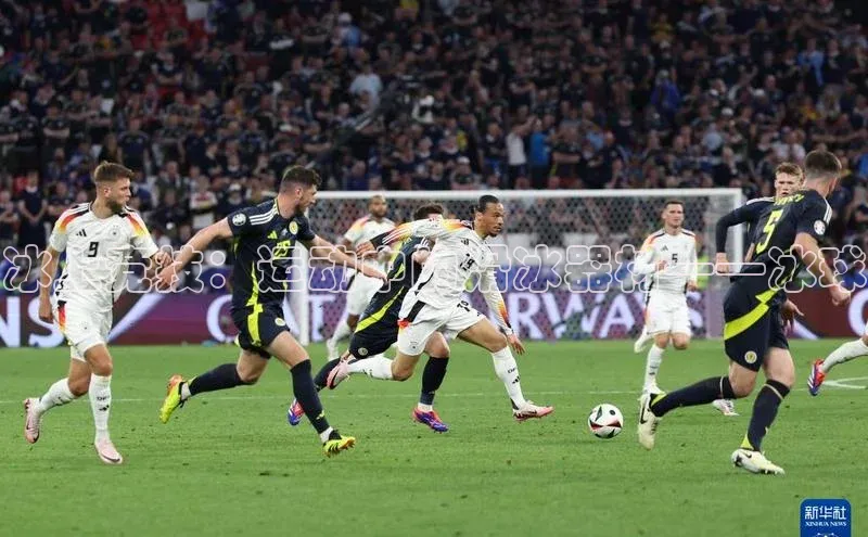 冰上竞技：运动中的滑冰器材——冰球