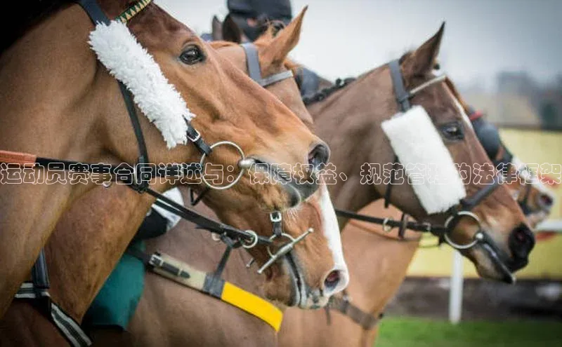 运动员赛事合同详述与：保障权益、规范管理的法律框架