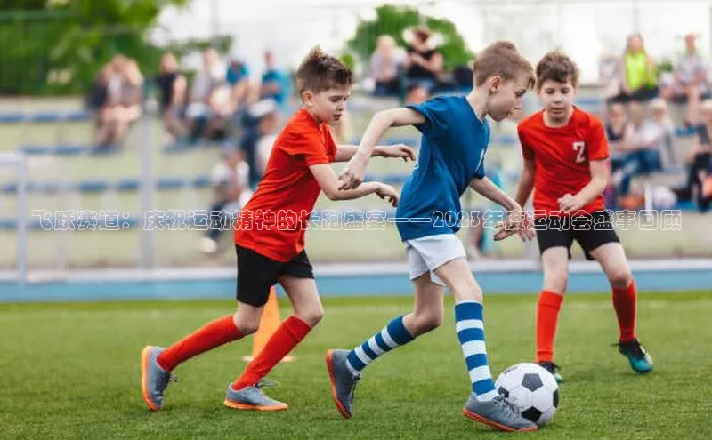 飞跃赛道：庆祝运动精神的长跑盛宴——2023年度运动会盛事回顾