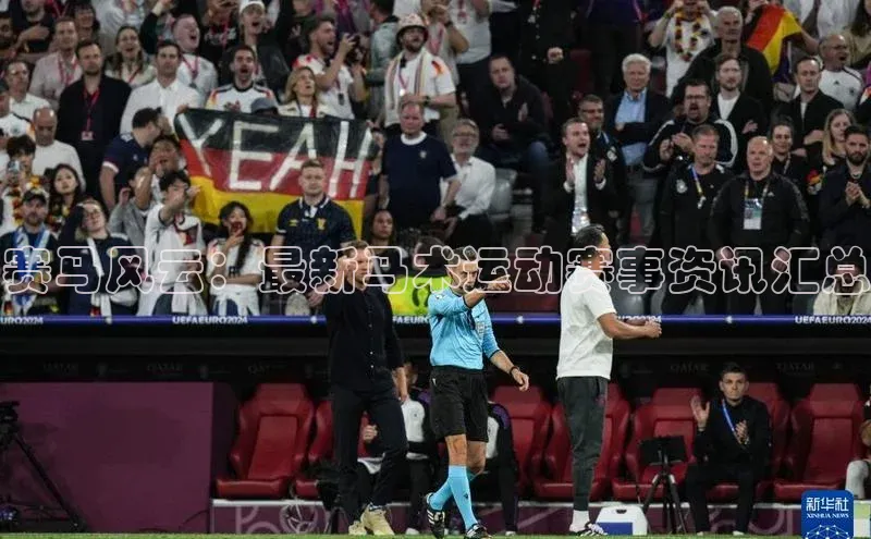 赛马风云：最新马术运动赛事资讯汇总