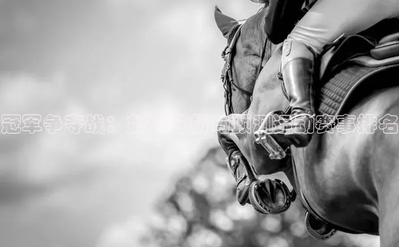 冠军争夺战：如何分析与预测运动赛事排名