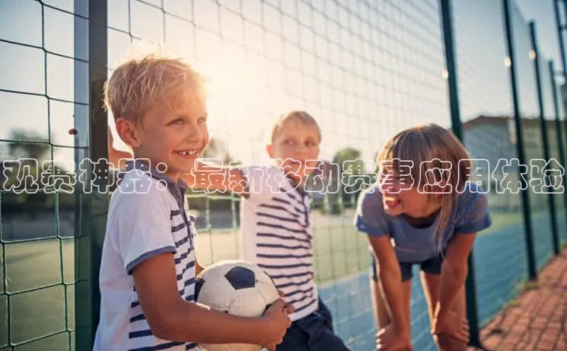 贝博betball体育app下载