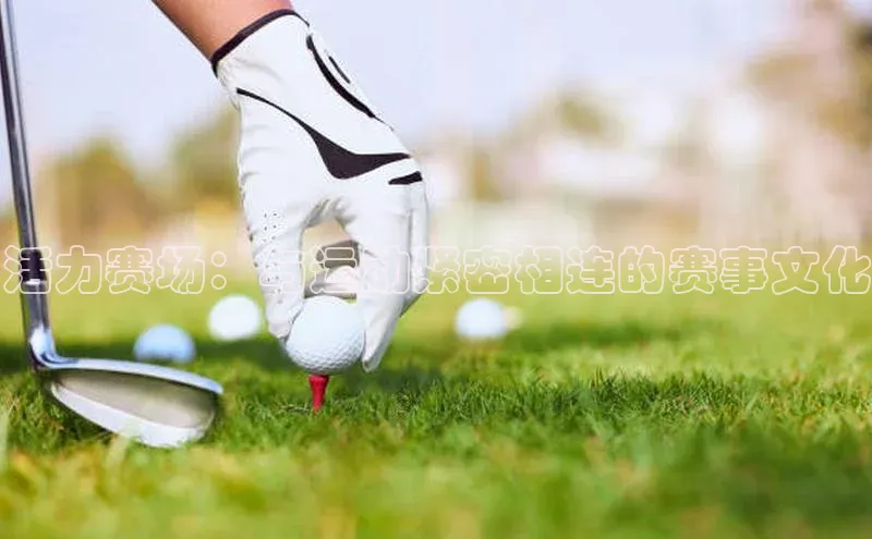 活力赛场：与运动紧密相连的赛事文化