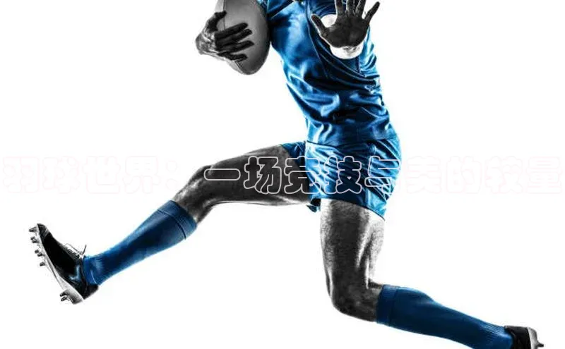 贝博APP体育网页