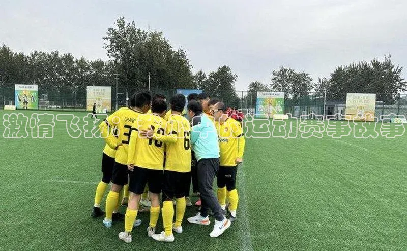 激情飞扬：我心中的运动赛事故事