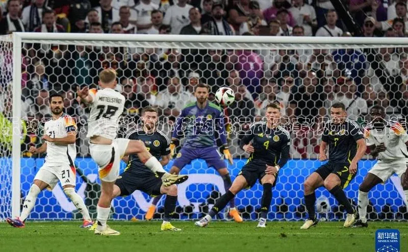 乐趣无限：精彩的小猪趣味运动赛事视频大合集