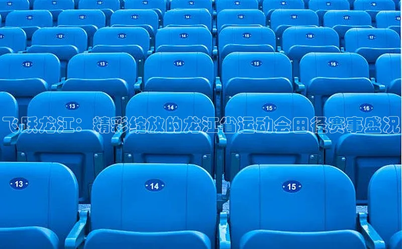 飞跃龙江：精彩绽放的龙江省运动会田径赛事盛况