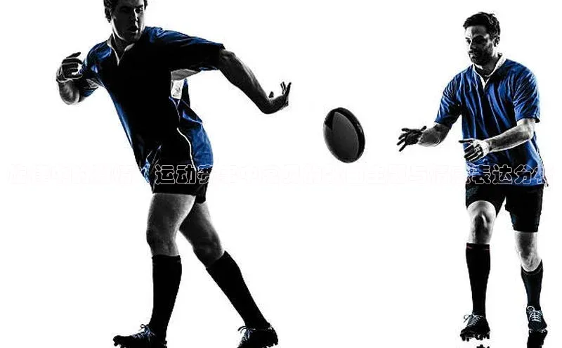 旋律中的激情：运动赛事中常见的歌曲主题与情感表达分析