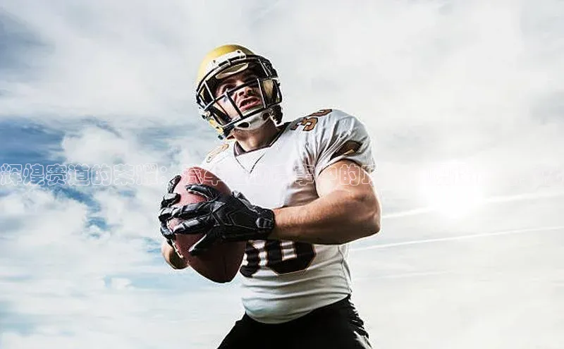 辉煌赛道的荣耀：汽车运动赛事中的顶级旗帜设计与文化