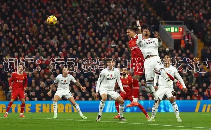 词汇：运动赛事中的关键术语